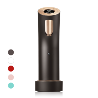 Wells The One Dark Brown