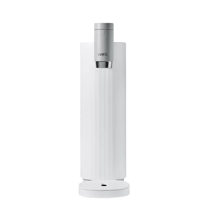 Wells Mini Water Purifier Singapore