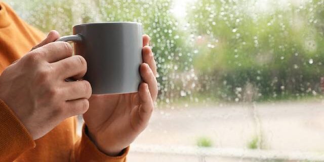 Rainy Day Detox: How Hot Water Dispensers Help Boost Immunity