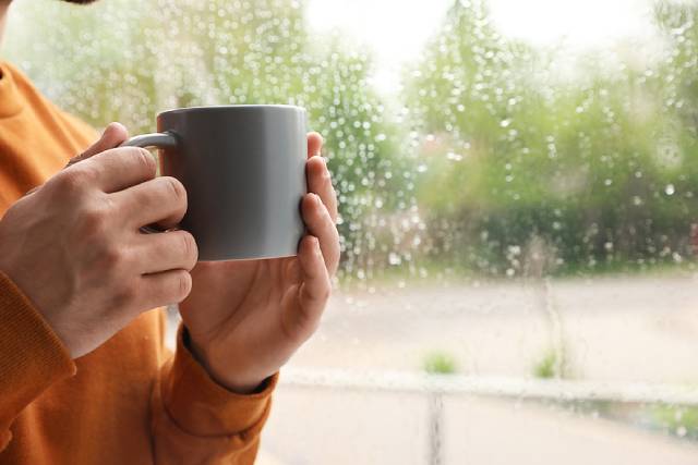 Rainy Day Detox: How Hot Water Dispensers Help Boost Immunity